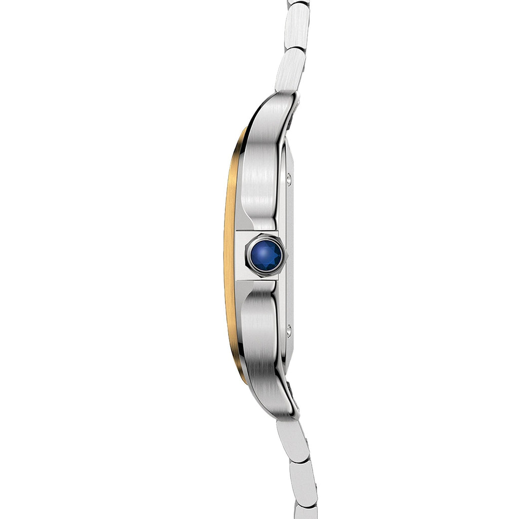 Santos de Cartier | 35mm, Two-Tone Steel & 18K Yellow Gold, Silver Dial